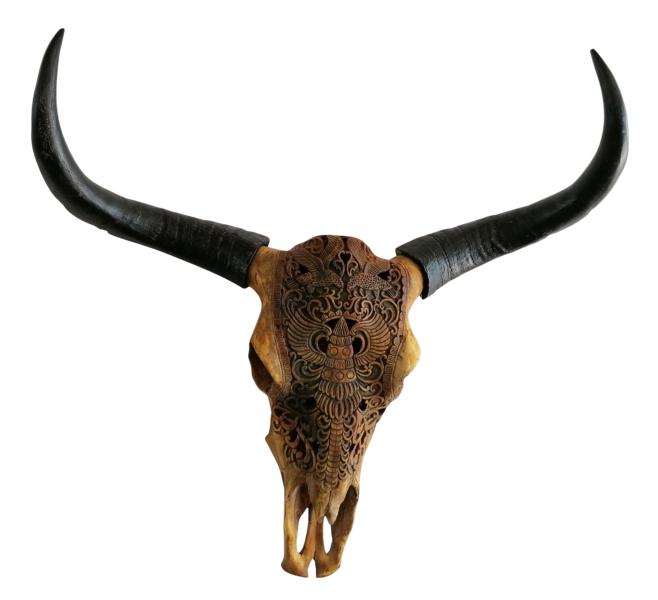 Stierkopf Bull Head Wanddekoration XXL 71x21x72 cm