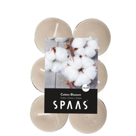 K640_Spaas_5411708154486_0338201-473_ProductPhoto_HRes_ListSearch_1 Teelichter Baumwollblüte 12 Stück