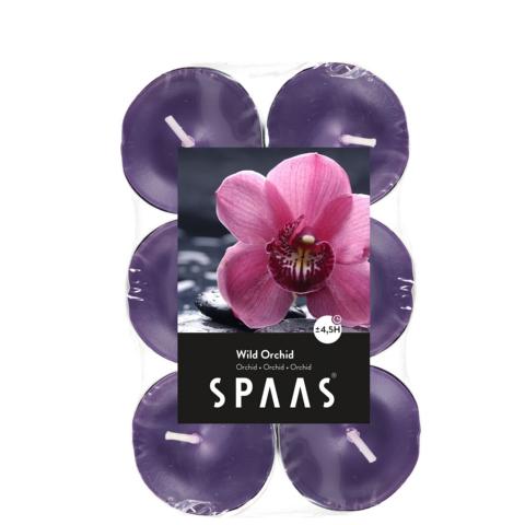 K640_Spaas_5411708154509_0338201-184_ProductPhoto_HRes_ListSearch_1 Teelichter Wilde Orchidee 12 Stück