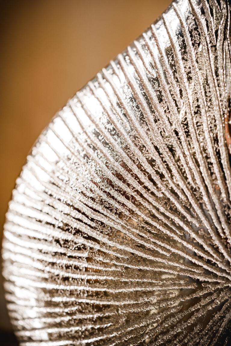 MN_Ambiente_20_09_2021-00014 Vase Silber aus Metall